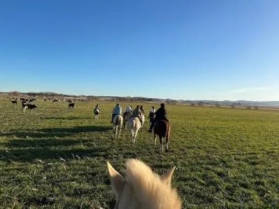 Horseback Riding Trips Raices