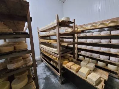 Horseback Riding Trips Raices