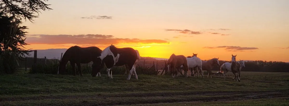 Horseback Riding Trips Raices
