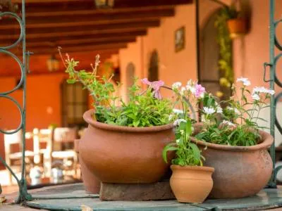 Inns Posada Don Salvador