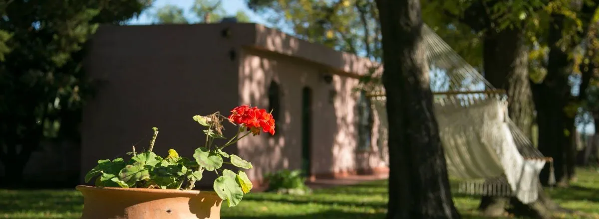 Inns Posada Don Salvador