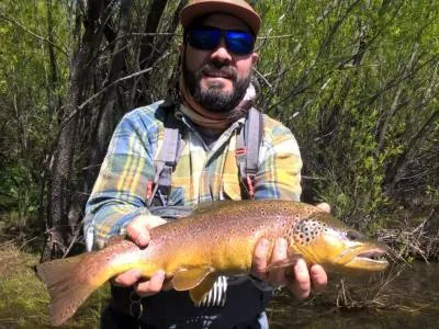 Salidas de Pesca FreeCast Patagonia