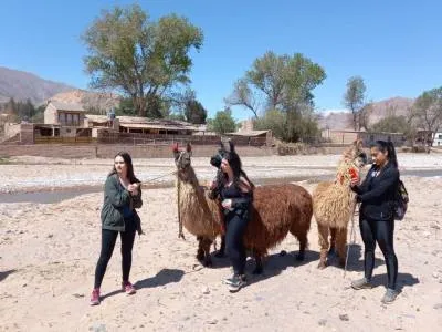 Travel and Tourist Agency Purmatur