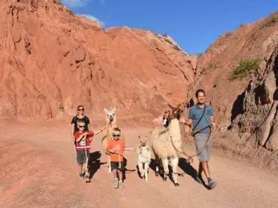 Travel and Tourist Agency Purmatur