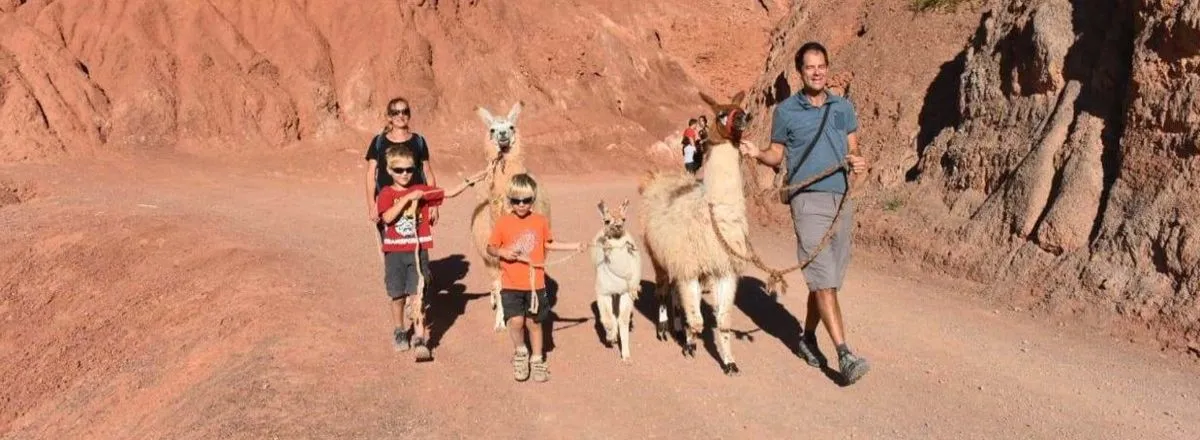 Travel and Tourist Agency Purmatur