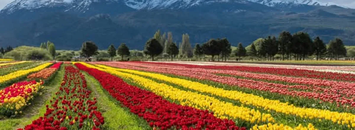 Cabañas Quincho Coihues