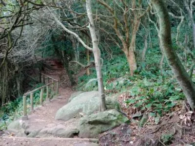 Cabins Los Lapachos alquiler turístico 