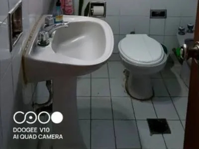 Apartments 3 bedroom apartment downtown