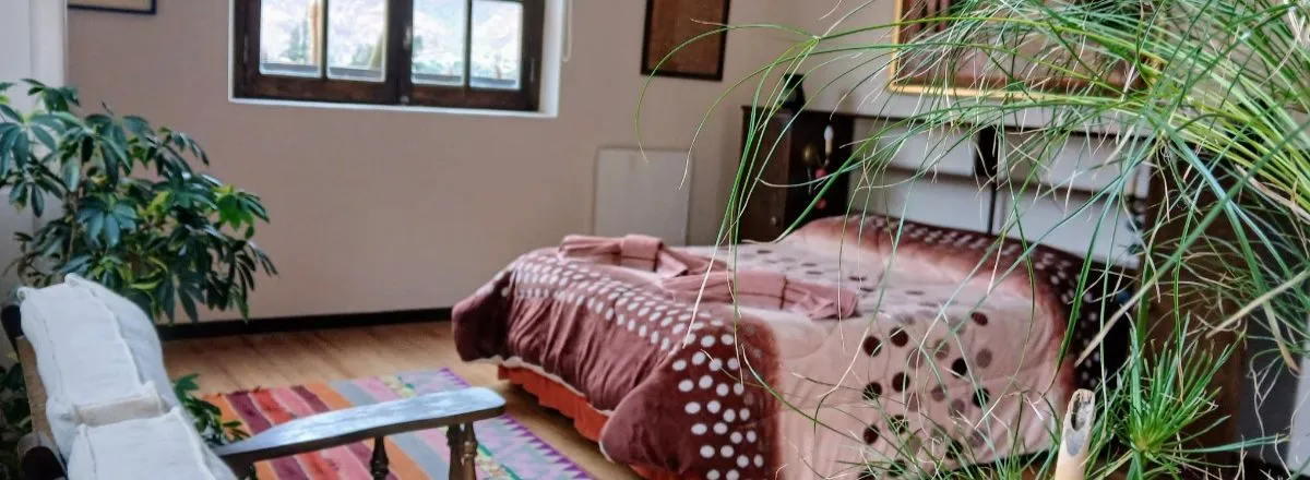 Cabins La Quebrada Enigmática