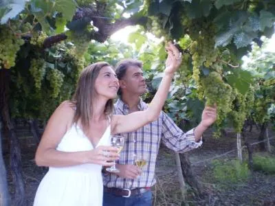 Travel and Tourist Agency Yacu Turismo