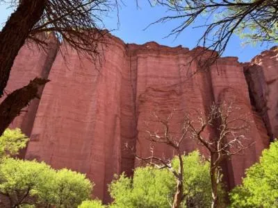 Agencias de viajes y turismo Salir del Cráter 