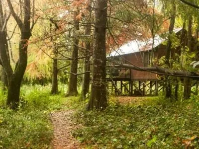 Cabins Cabaña Capitana