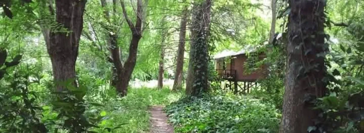 Cabins Cabaña Capitana