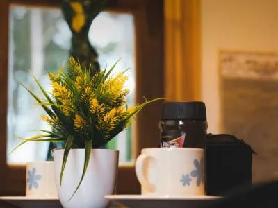 Cabins Cabañas San Valentín
