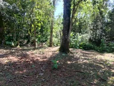 Campings Agrestes Eco Camping Yacaratia Iguazu 