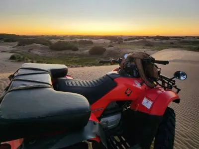 Alquiler de Motos y Cuatriciclos Triwillie 