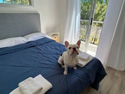 Apart Hoteles Dunas 838 Apart