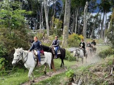 Horseback Riding Trips Cabalgatas AUCA