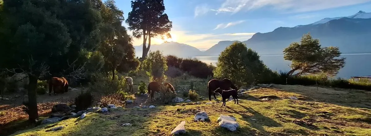 Horseback Riding Trips Cabalgatas AUCA