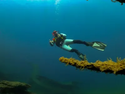 Buceo Patagonia Diving