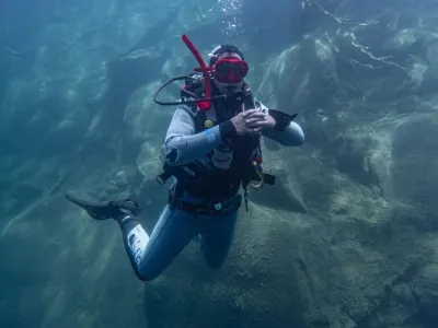 Buceo Patagonia Diving