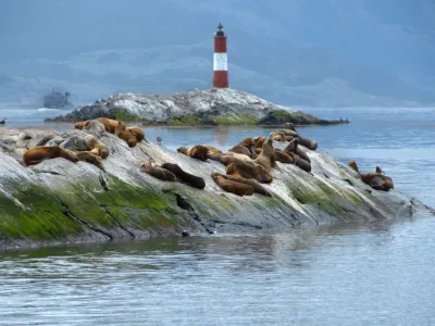 Agencias de viajes y turismo Five Senses Travel