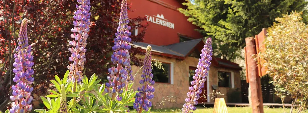 Hoteles Hotel Kalenshen