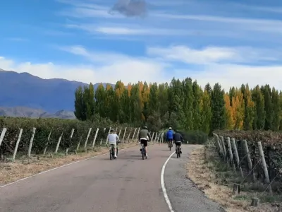 Agencias de viajes y turismo Savage Wine