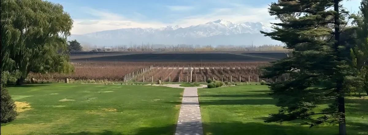 Agencias de viajes y turismo Savage Wine