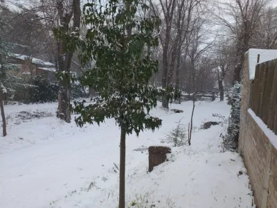 Cabañas Cabañas Antón