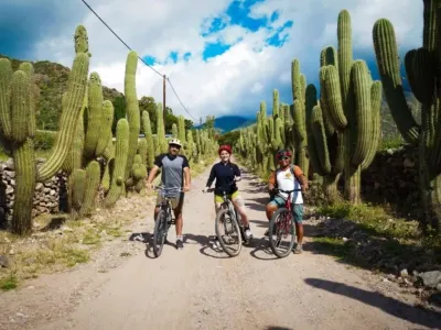 Travel and Tourist Agency Majo Viajes Turismo