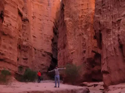 Travel and Tourist Agency Majo Viajes Turismo