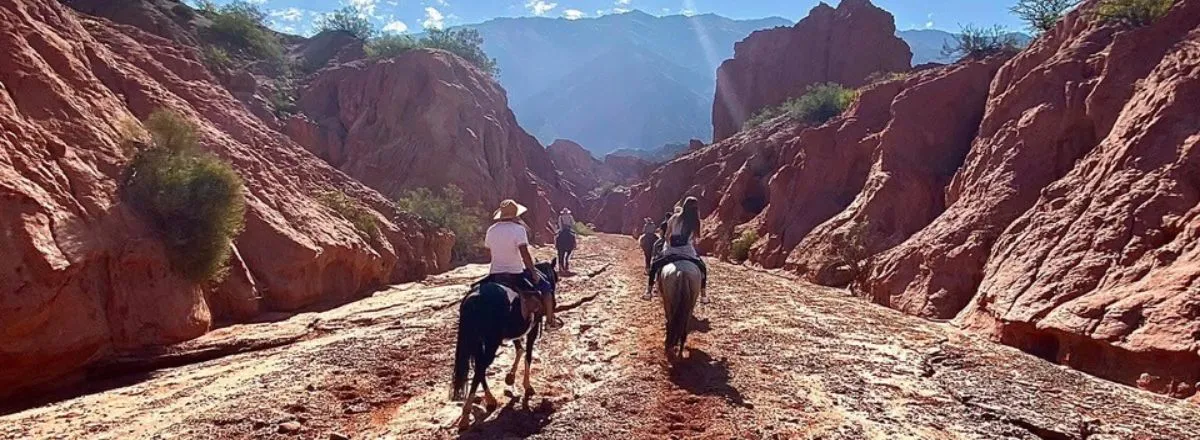 Travel and Tourist Agency Majo Viajes Turismo