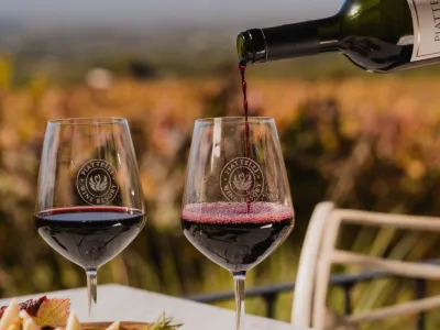 Wine Makers Piattelli Vineyards