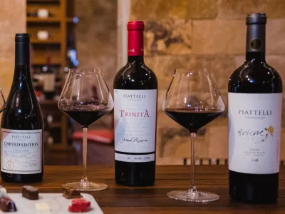 Wine Makers Piattelli Vineyards