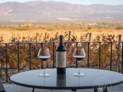 Wine Makers Piattelli Vineyards