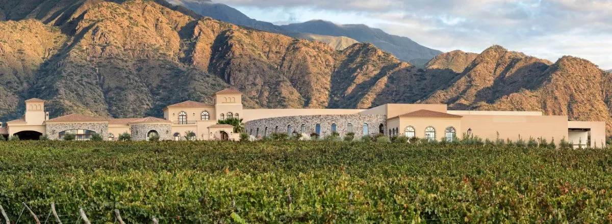 Wine Makers Piattelli Vineyards