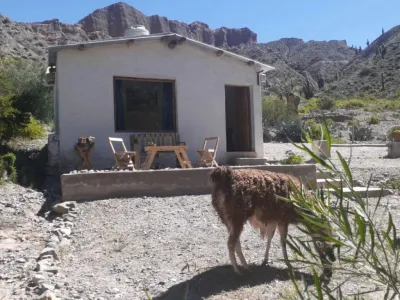 Eco Ranchos and sleeping with llamas Cabins  in  Tilcara