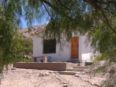 Cabins Eco Ranchos and sleeping with llamas