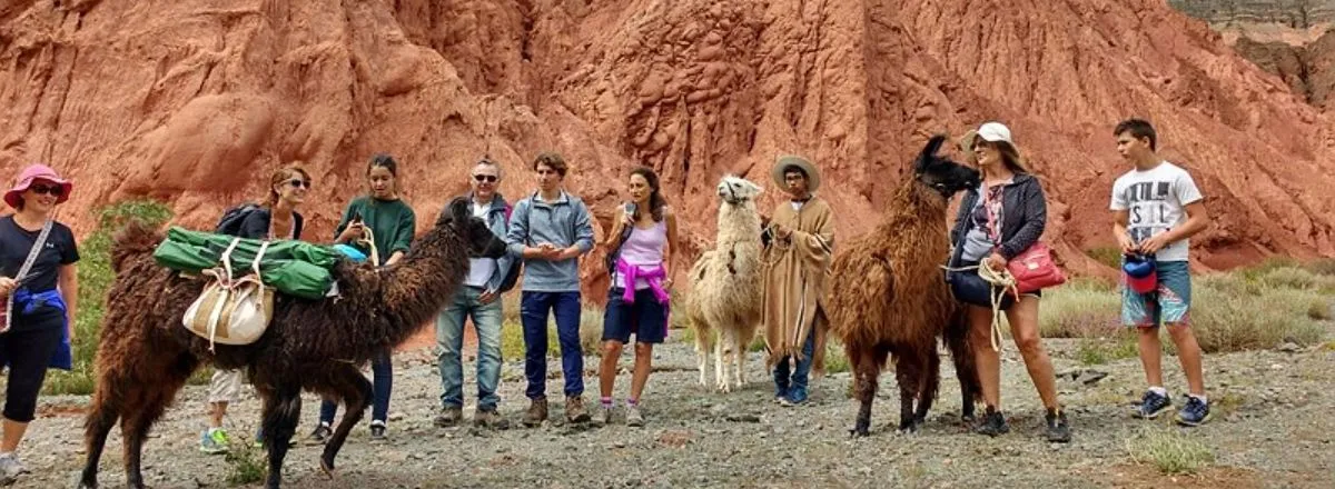 Cabins Eco Ranchos and sleeping with llamas