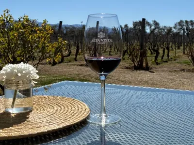 Travel and Tourist Agency Vinhos e Cordilheira 