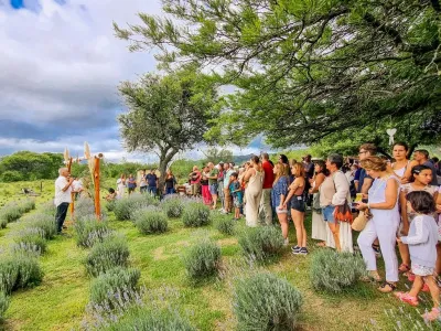 Eco-tourism Die Lavendel lavender field