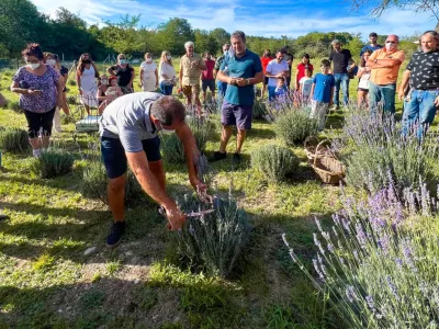 Eco-tourism Die Lavendel lavender field