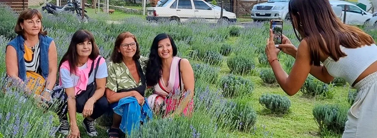 Eco-tourism Die Lavendel lavender field