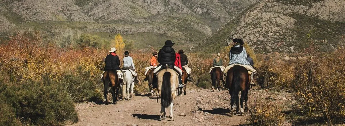 Cabalgatas Estación La Matera