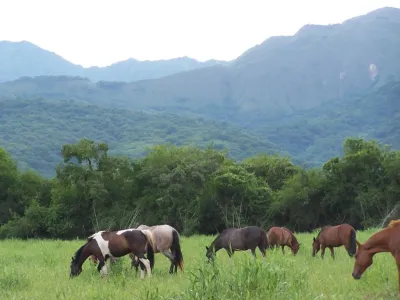 Horseback Riding Trips Sayta Ranch - Cabalgatas Salta