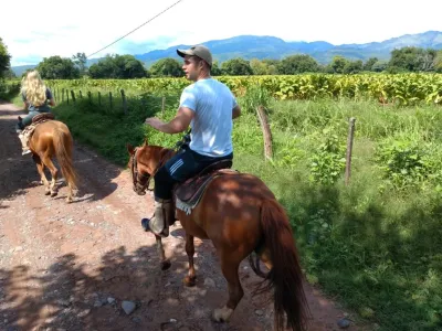 Horseback Riding Trips Sayta Ranch - Cabalgatas Salta