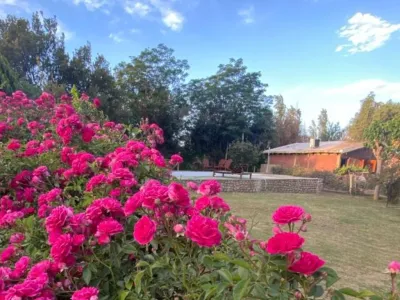 Cabañas Cabañas Las Viñas