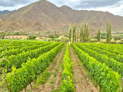 Bodegas Bodega Miraluna