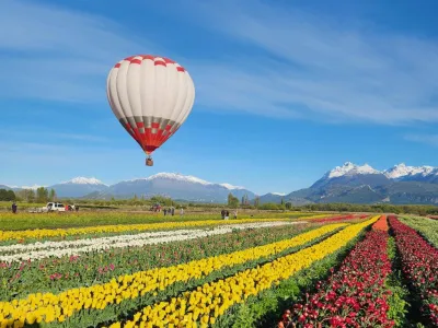 Tulipanes Patagonia Atractivo Turístico  en  Trevelin